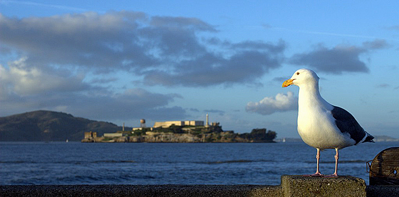 Solo traveler Solo Travelers - Barge Cruises